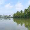 kerala-backwaters-lake