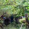 kerala-backwaters-small-waterway