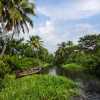 narrow-waterway-kerala-backwaters