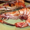 tiger prawn ko lipe.JPG