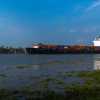 container-vessel-port-fort-kochi