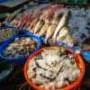 fresh-fish-market-fort-kochi-kerala