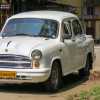 ambassador-car-and-goat-fort-kochi-india