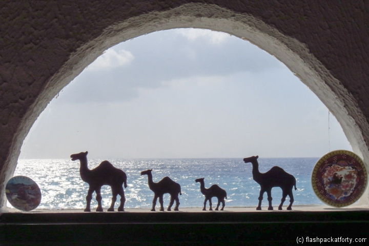 camels-in-window-kojak-pub-rhodes