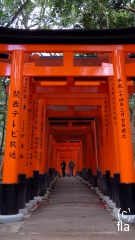 Fushim Inari-taisha torii gates with people
