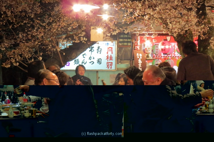 Kyoto blossom party having fun
