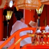 Fushim Inari-taisha shrine reading