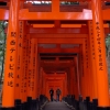 Fushim Inari-taisha torii gates with people