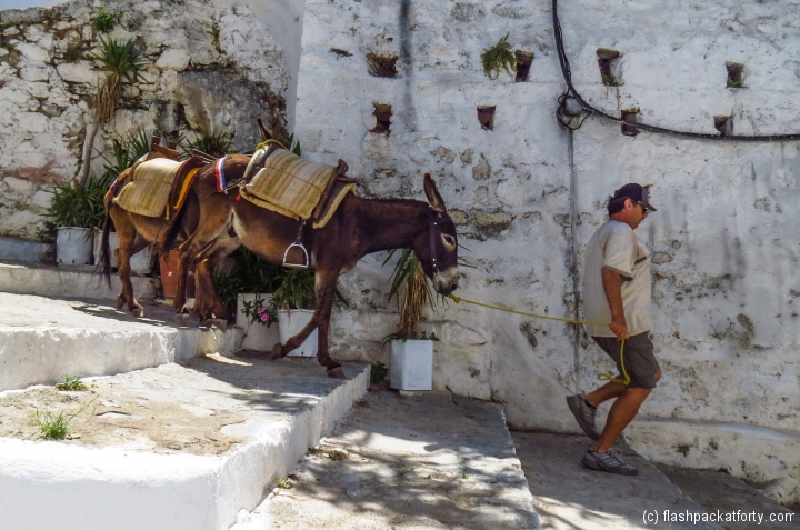 lindos-donkeys-retrurn-empty-greece