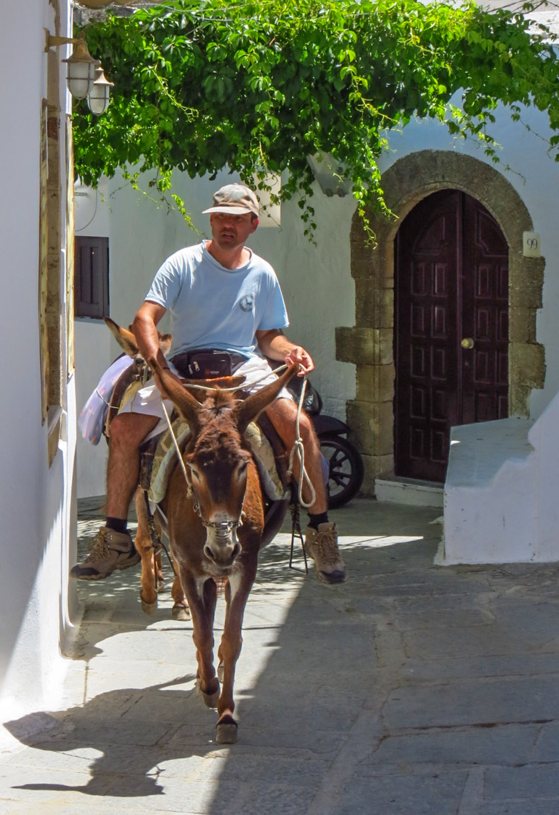donkey-man-in-lindos-greece