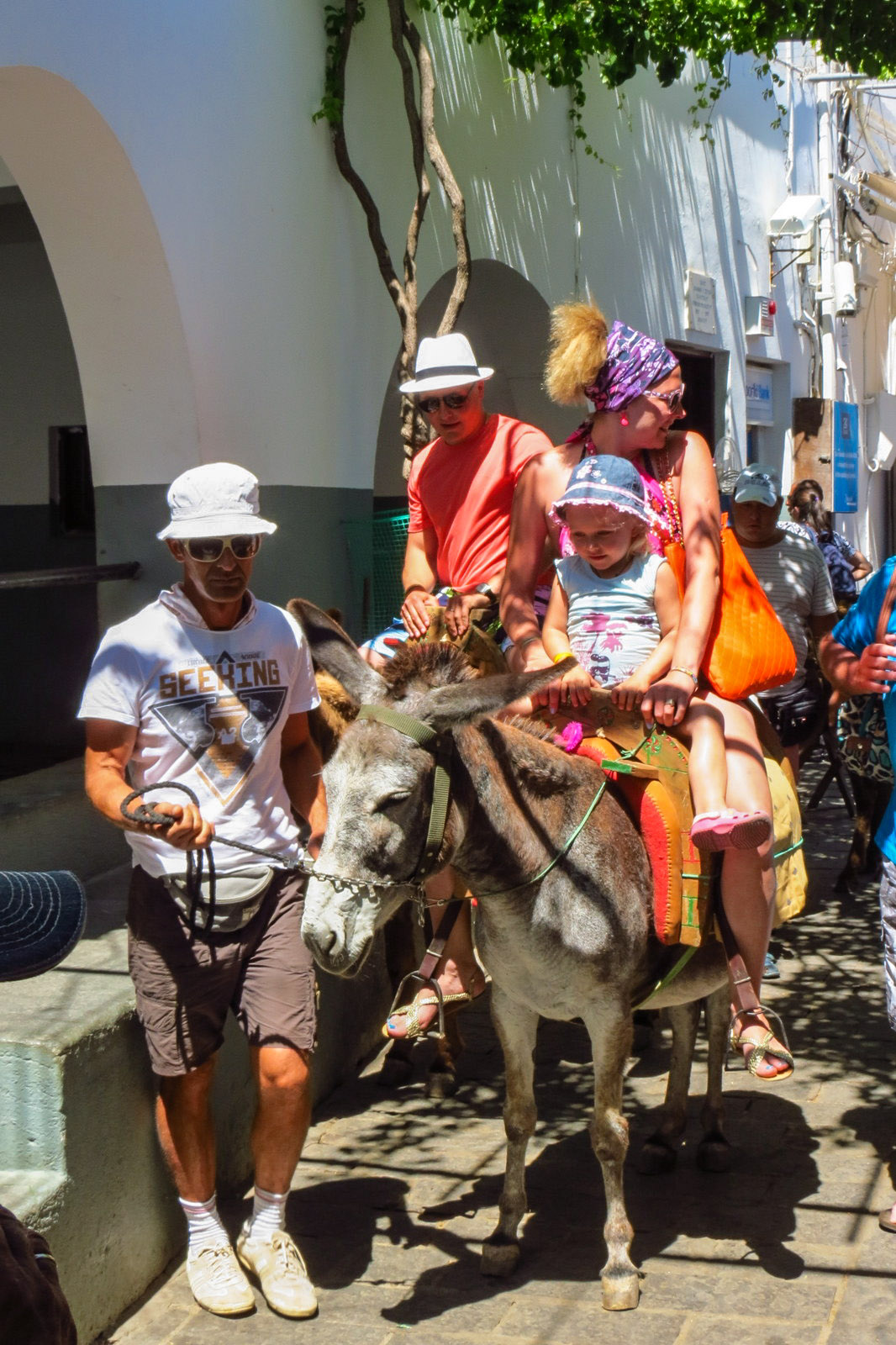 family-on-donkey-in-lindos-greece