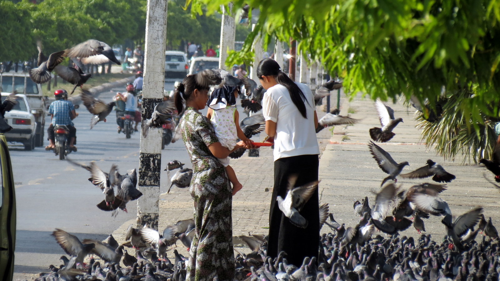 pigeons at mandalay palace