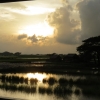 view-from-yangon-mandalay-train