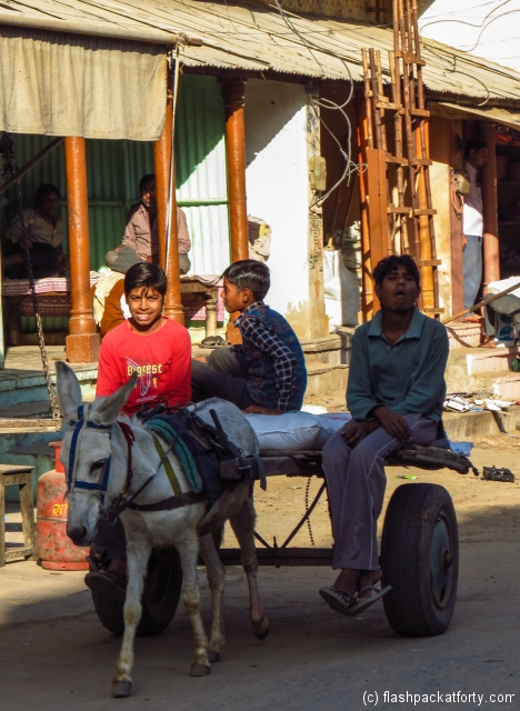 kids-and-donkey-cart-mandawa