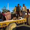 tractor-transport-mandawa-india