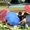 shadeseekers-rizal-park-manila