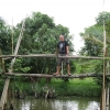 Mekong river monkey bridge