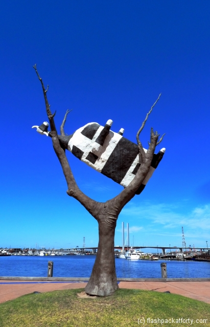 cow-in-a-tree-melbourne