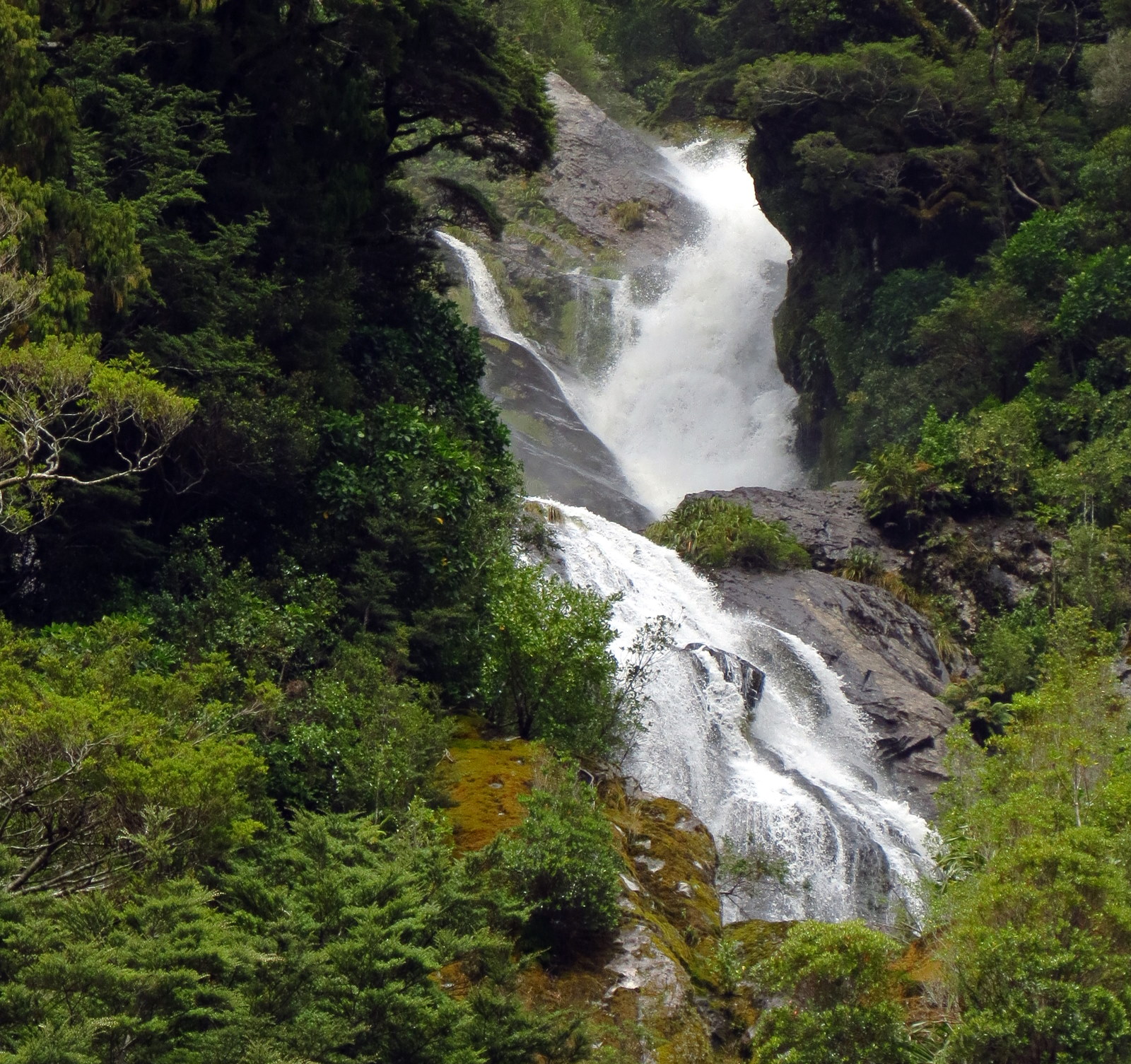 doubtful-sound-waterfall