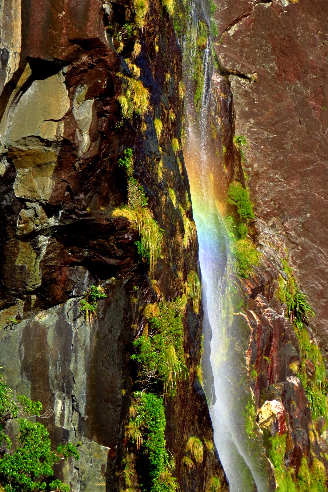 milford-sound-waterfall-rainbow