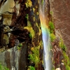 milford-sound-waterfall-rainbow