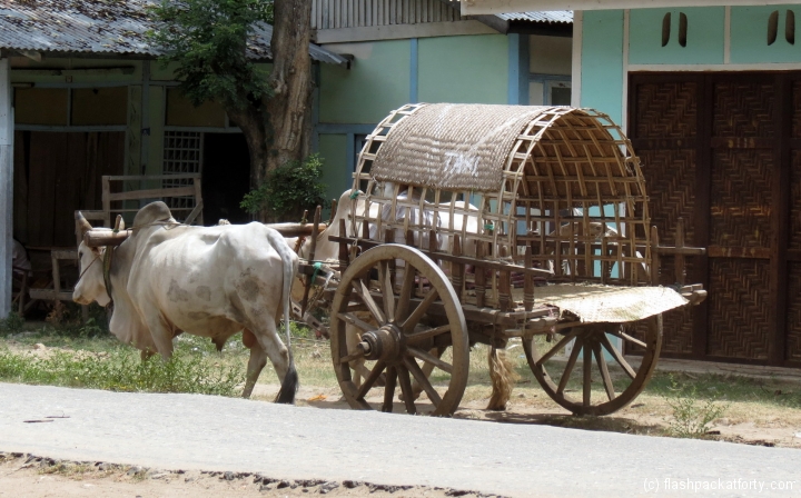 ox-taxi-mingun