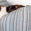 cat-sleeps-on-mykonos