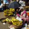 banana-woman-seeks-shande-mysore-india