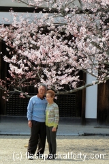 Couple at blossom at horyuji