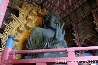 Budda Daibutsu Nara  side