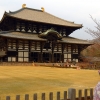 Great Buddha Hall and garden todaiji