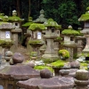 lantern pillars Kasuga shrine nara