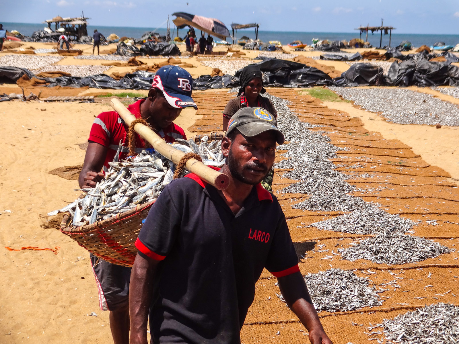 drying-fish-carriers-negombo