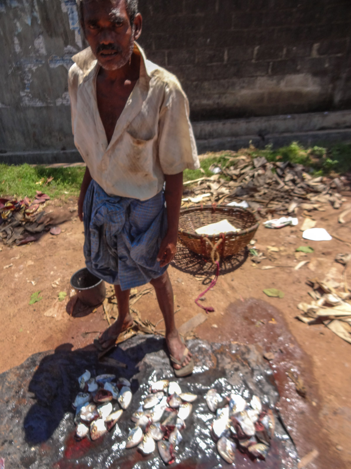 fish-head-seller-negombo-market