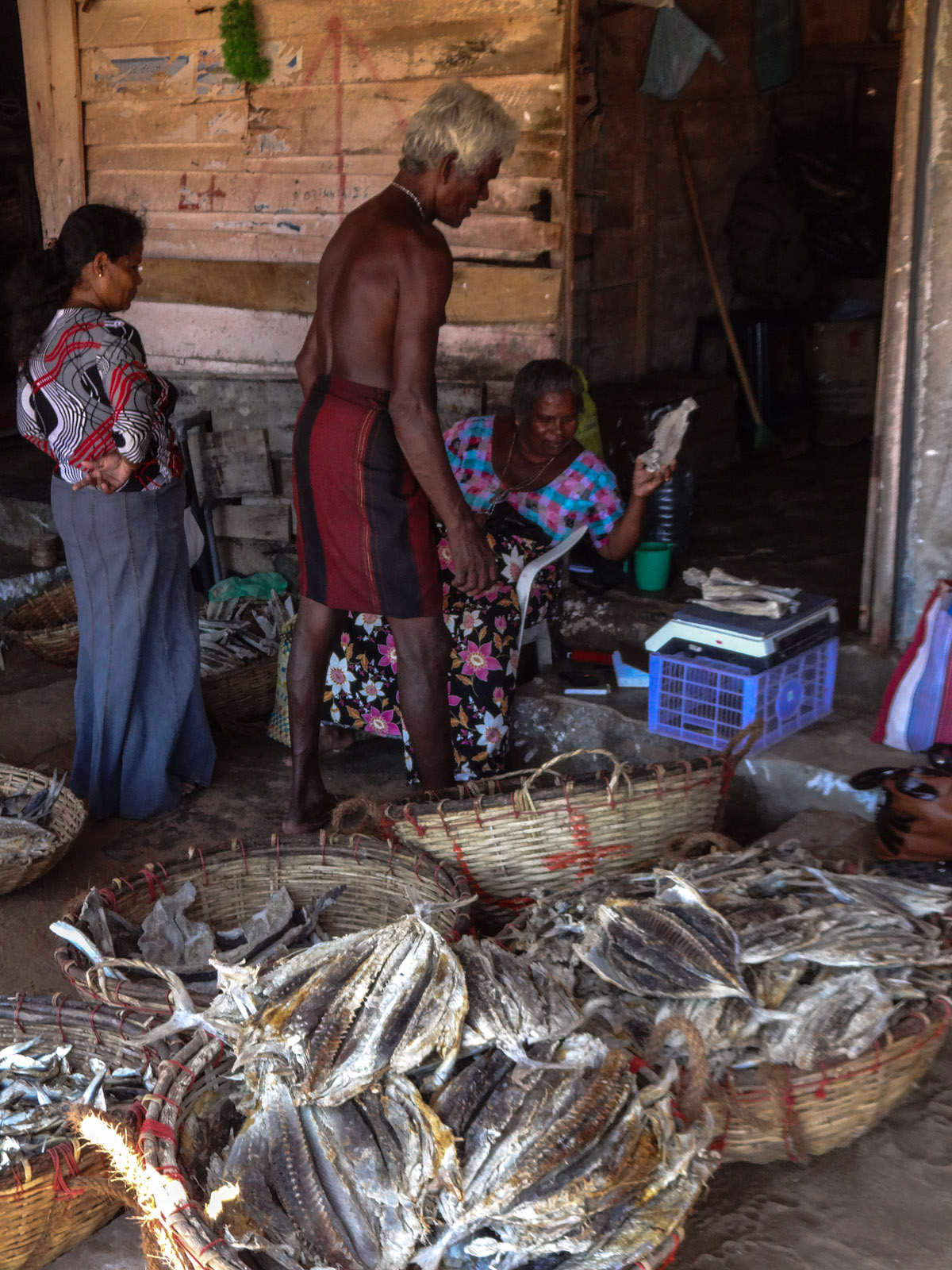 fish-market-negombo