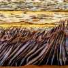 dried-fish-negombo-market
