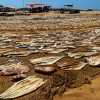 drying-fish-negombo-market