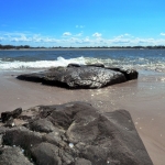 Caloundra Beach Rocks