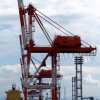 Osaka port cranes