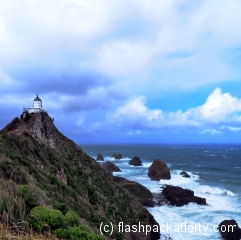 lighthouse-nugget-point