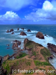 nugget-point-rocks