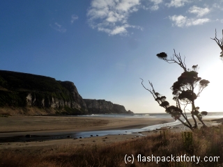 purakaunui-bay-doc-site-view