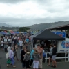 farmers-market-dunedin