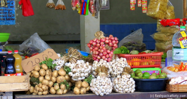 ilocs-north-local-produce-garlic