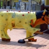 elvis-cow-at-blue-lagoon-hannahs-beach-resort