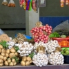 ilocs-north-local-produce-garlic