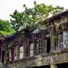 old-heritage-houses-in-need-of-repair-penang