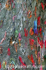 killing-tree-tributes-killing-fields-phnom-penh