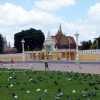 royal-palace-pigeons-phnom-penh