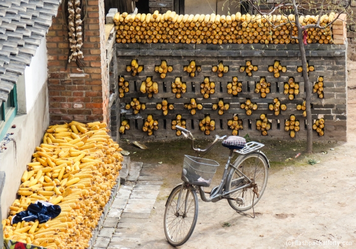 drying-sweetcorn-pingyao